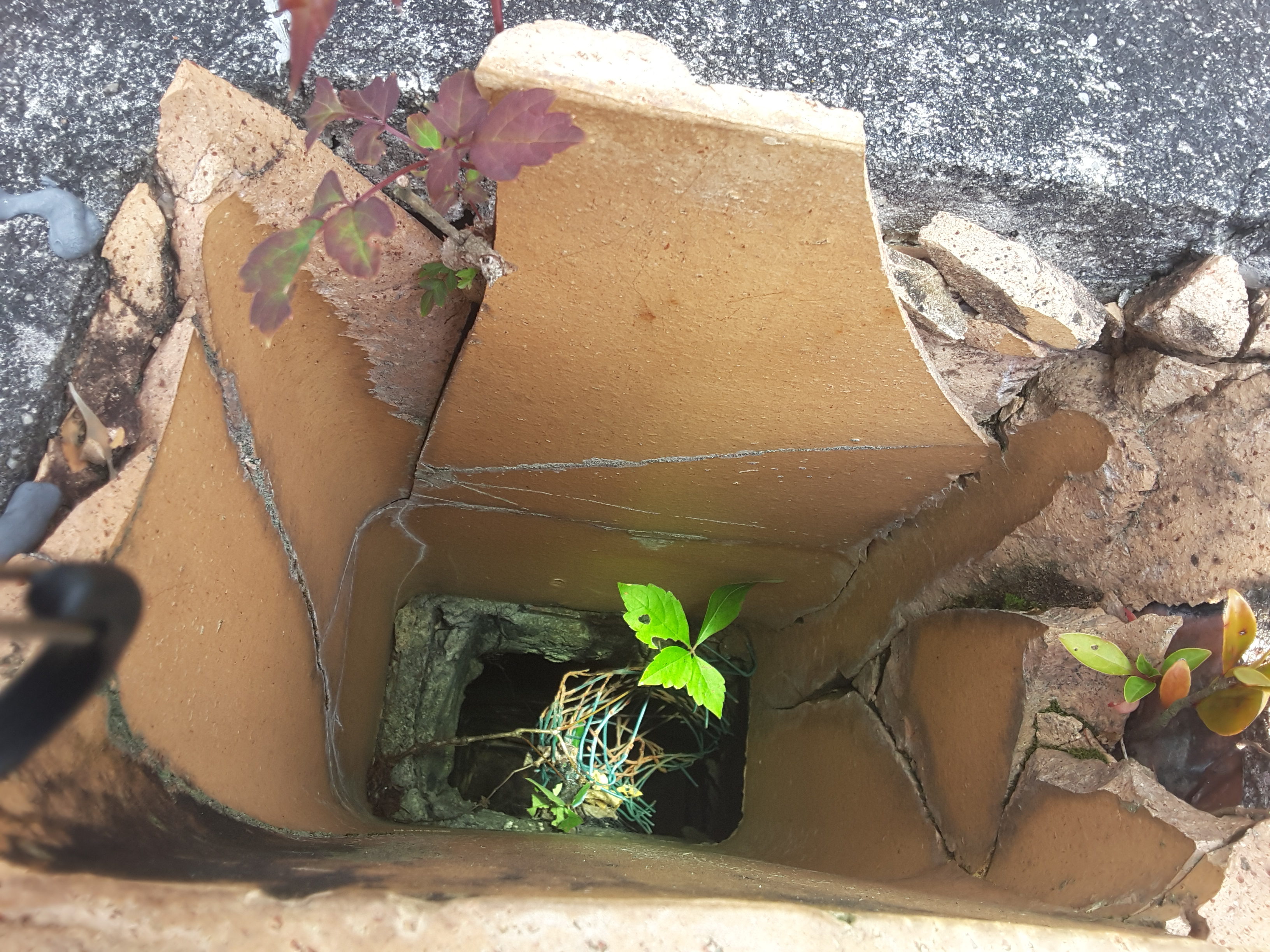 Chimney Inspection and Cleaning